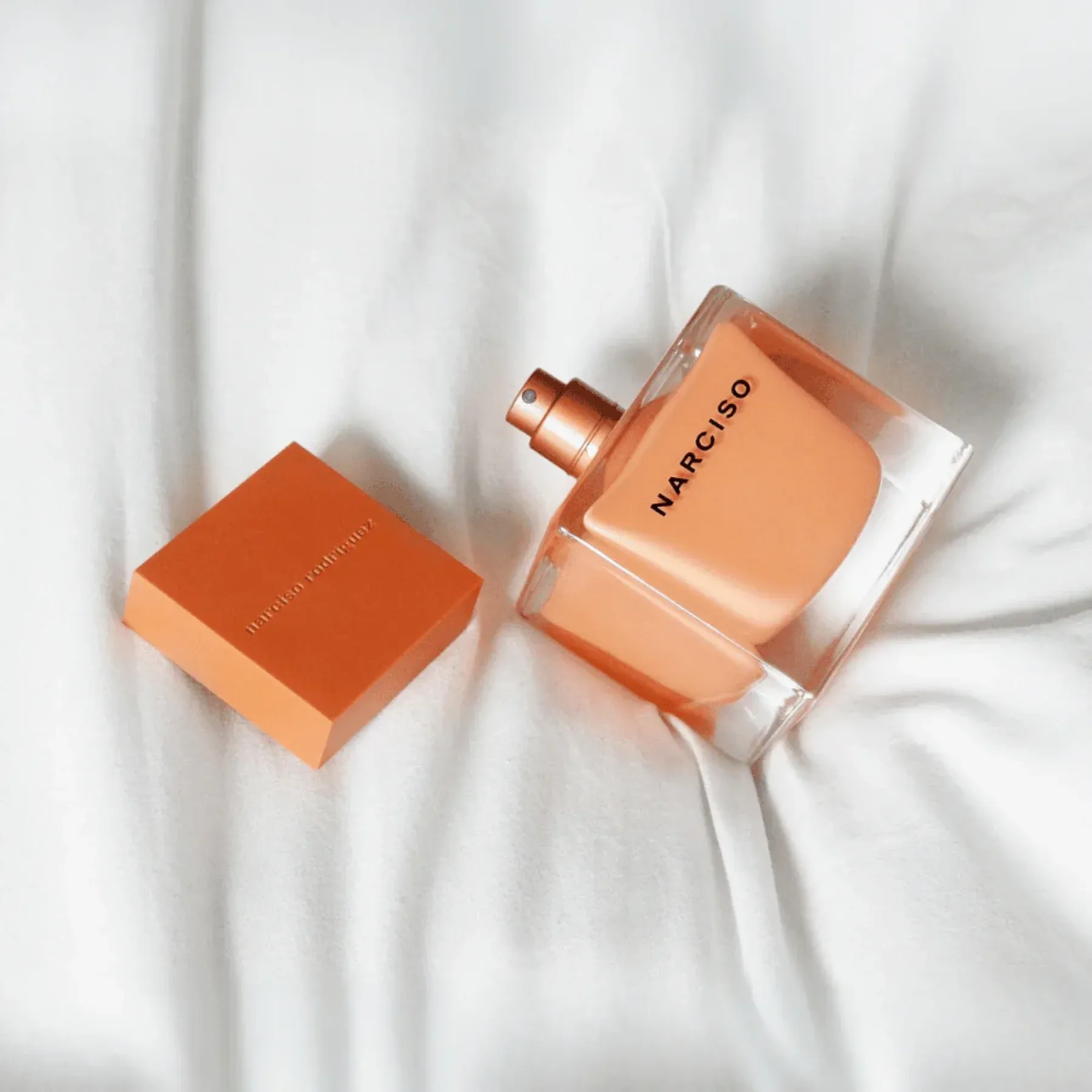 NARCISO AMBREE -3-